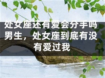 处女座还有爱会分手吗男生，处女座到底有没有爱过我