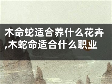 木命蛇适合养什么花卉,木蛇命适合什么职业