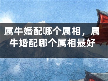 属牛婚配哪个属相，属牛婚配哪个属相最好