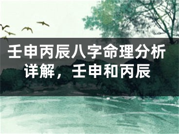 壬申丙辰八字命理分析详解，壬申和丙辰