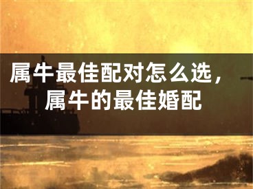 属牛最佳配对怎么选，属牛的最佳婚配