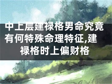中上层建禄格男命究竟有何特殊命理特征,建禄格时上偏财格