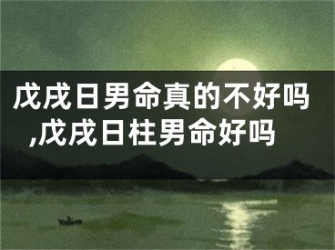 戊戌日男命真的不好吗,戊戌日柱男命好吗