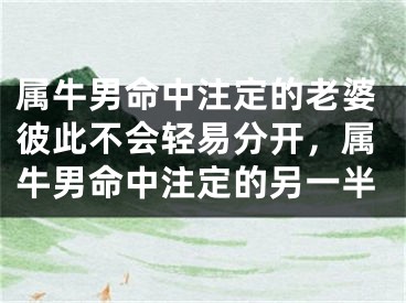 属牛男命中注定的老婆彼此不会轻易分开，属牛男命中注定的另一半