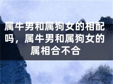 属牛男和属狗女的相配吗，属牛男和属狗女的属相合不合