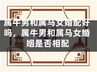 属牛男和属马女婚配好吗，属牛男和属马女婚姻是否相配