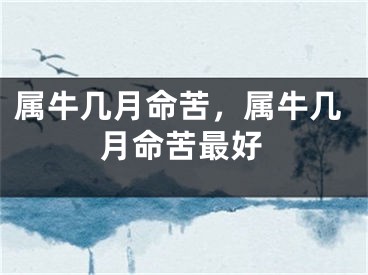 属牛几月命苦，属牛几月命苦最好