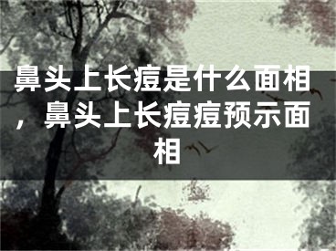 鼻头上长痘是什么面相，鼻头上长痘痘预示面相
