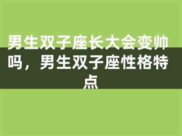 男生双子座长大会变帅吗，男生双子座性格特点