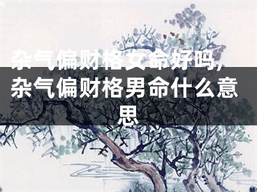 杂气偏财格女命好吗,杂气偏财格男命什么意思