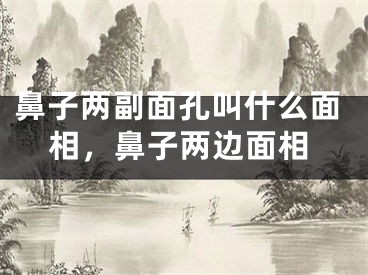 鼻子两副面孔叫什么面相，鼻子两边面相