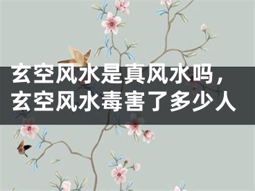 玄空风水是真风水吗，玄空风水毒害了多少人