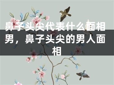 鼻子头尖代表什么面相男，鼻子头尖的男人面相