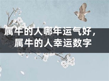 属牛的人哪年运气好，属牛的人幸运数字
