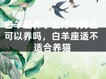 白羊座养小鱼好吗男生可以养吗，白羊座适不适合养猫