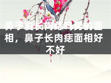 鼻子爱长肉痣吗男的面相，鼻子长肉痣面相好不好