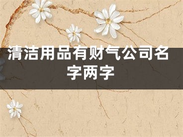 清洁用品有财气公司名字两字
