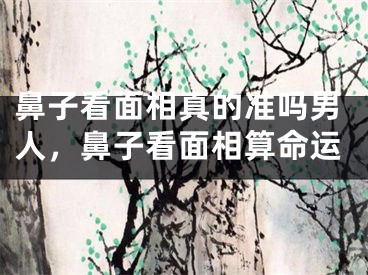 鼻子看面相真的准吗男人，鼻子看面相算命运
