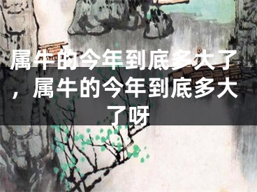 属牛的今年到底多大了，属牛的今年到底多大了呀