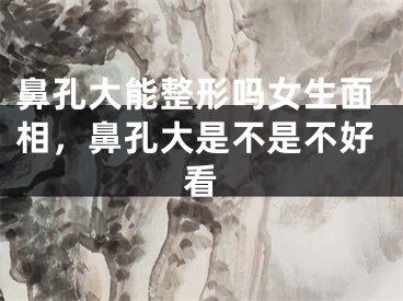 鼻孔大能整形吗女生面相，鼻孔大是不是不好看