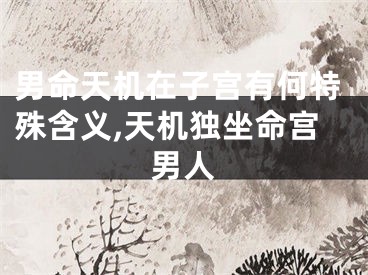 男命天机在子宫有何特殊含义,天机独坐命宫男人