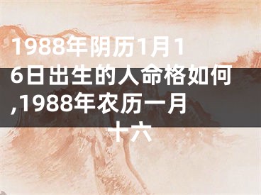 1988年阴历1月16日出生的人命格如何,1988年农历一月十六
