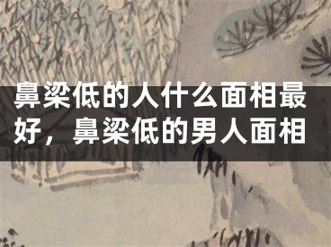 鼻梁低的人什么面相最好，鼻梁低的男人面相