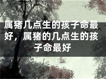 属猪几点生的孩子命最好，属猪的几点生的孩子命最好