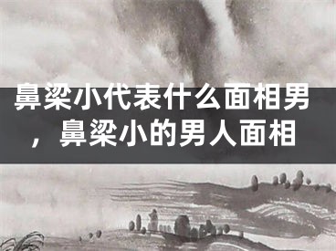 鼻梁小代表什么面相男，鼻梁小的男人面相