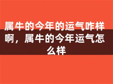 属牛的今年的运气咋样啊，属牛的今年运气怎么样