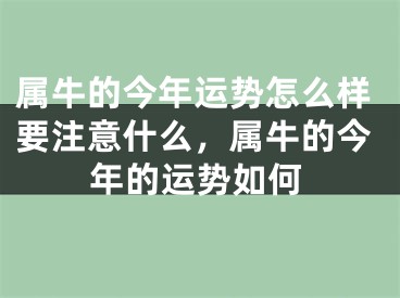 属牛的今年运势怎么样要注意什么，属牛的今年的运势如何