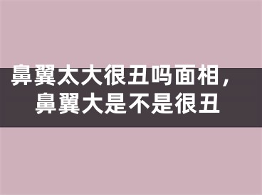 鼻翼太大很丑吗面相，鼻翼大是不是很丑