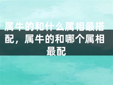 属牛的和什么属相最搭配,属牛的和哪个属相最配