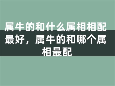 属牛的和什么属相相配最好,属牛的和哪个属相最配
