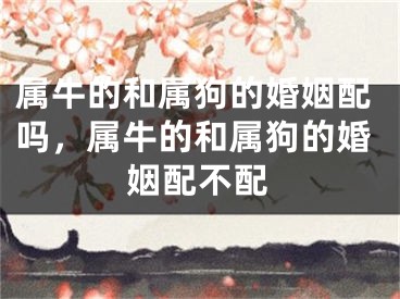 属牛的和属狗的婚姻配吗,属牛的和属狗的婚姻配不配