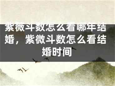 紫薇斗数怎么看哪年结婚,紫微斗数怎么看结婚时间