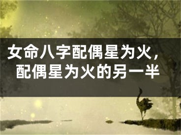 女命八字配偶星为火，配偶星为火的另一半