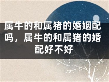 属牛的和属猪的婚姻配吗，属牛的和属猪的婚配好不好