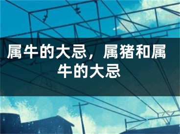 属牛的大忌，属猪和属牛的大忌