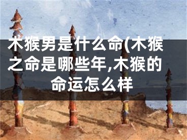 木猴男是什么命(木猴之命是哪些年,木猴的命运怎么样
