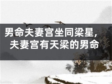 男命夫妻宫坐同梁星,夫妻宫有天梁的男命