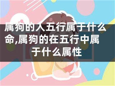 属狗的人五行属于什么命,属狗的在五行中属于什么属性