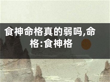 食神命格真的弱吗,命格:食神格