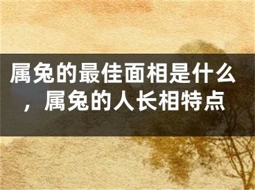属兔的最佳面相是什么，属兔的人长相特点