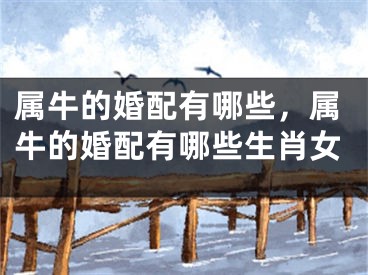 属牛的婚配有哪些，属牛的婚配有哪些生肖女