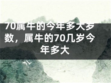 70属牛的今年多大岁数,属牛的70几岁今年多大