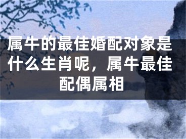 属牛的最佳婚配对象是什么生肖呢，属牛最佳配偶属相