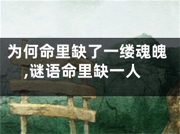 为何命里缺了一缕魂魄,谜语命里缺一人