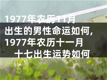 1977年农历11月出生的男性命运如何,1977年农历十一月十七出生运势如何