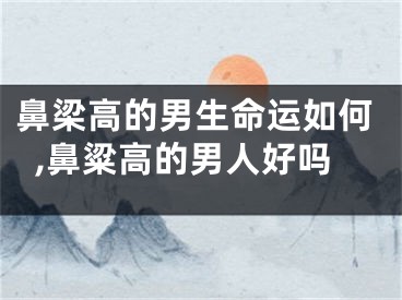 鼻梁高的男生命运如何,鼻粱高的男人好吗